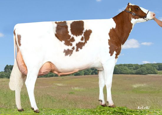 Champion Rød Holstein 2023