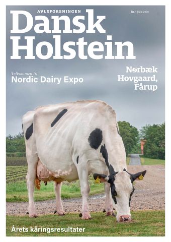 Dansk Holstein 3/2023