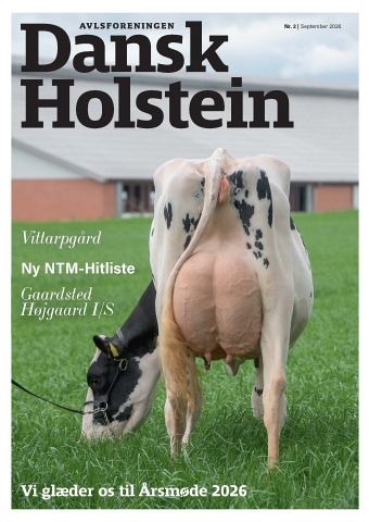 Dansk Holstein 3/2023