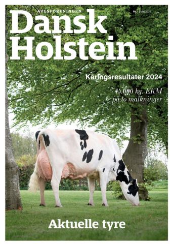 Dansk Holstein 3/2023