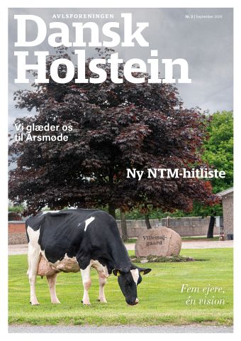 Dansk Holstein 3/2023