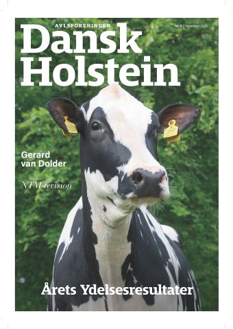 Dansk Holstein 3/2023