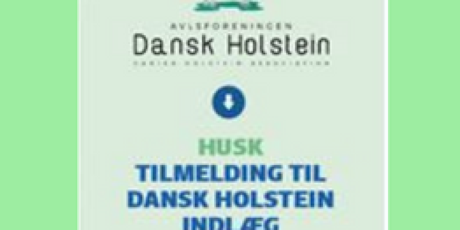 Program målrettet til Holsteinproducenter