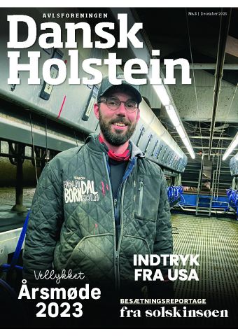 Dansk Holstein 3/2023